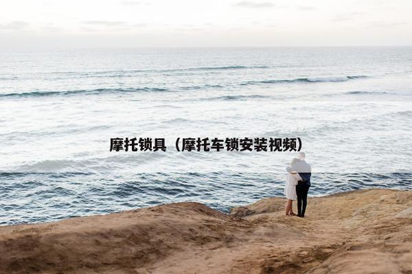 摩托锁具（摩托车锁安装视频）