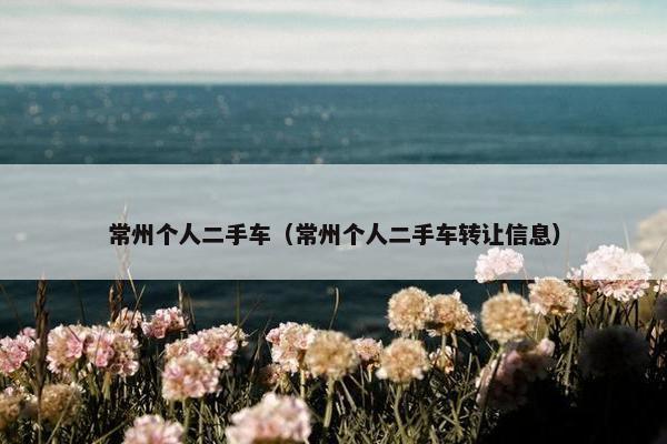 常州个人二手车（常州个人二手车转让信息）
