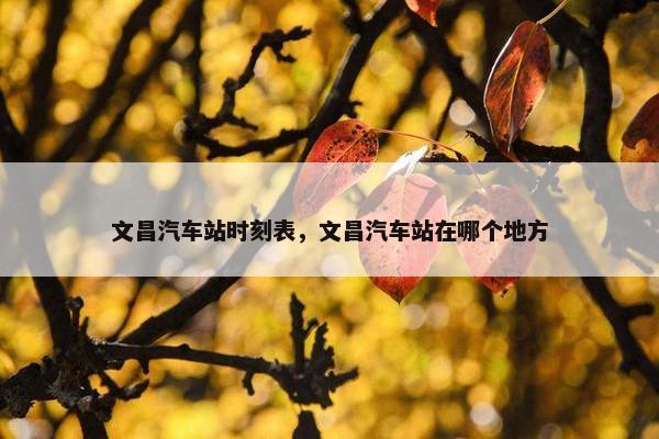 文昌汽车站时刻表，文昌汽车站在哪个地方