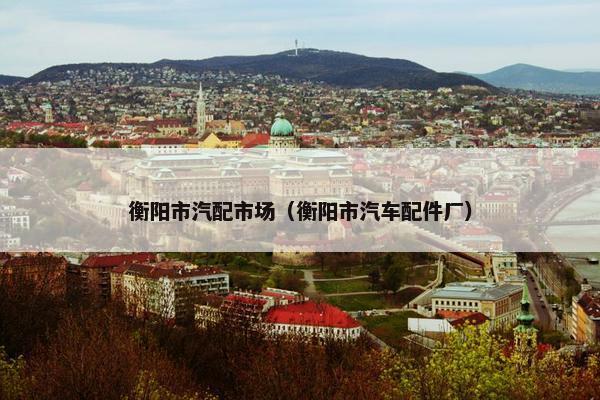 衡阳市汽配市场（衡阳市汽车配件厂）