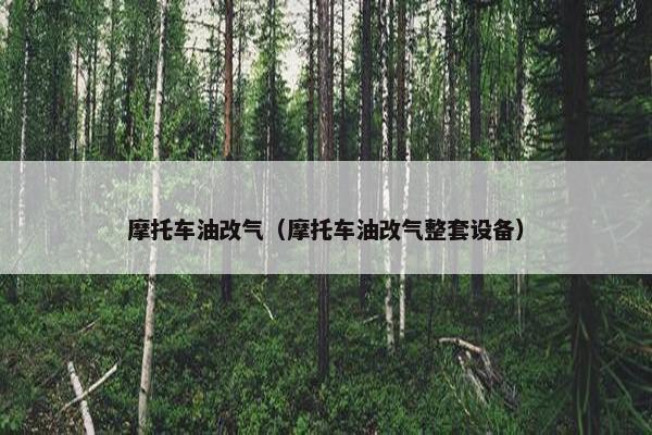 摩托车油改气（摩托车油改气整套设备）