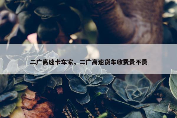 二广高速卡车家，二广高速货车收费贵不贵