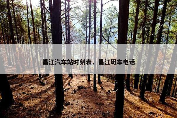 昌江汽车站时刻表，昌江班车电话