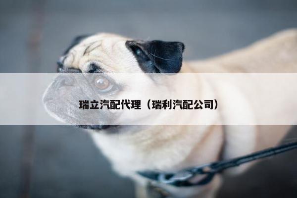 瑞立汽配代理（瑞利汽配公司）