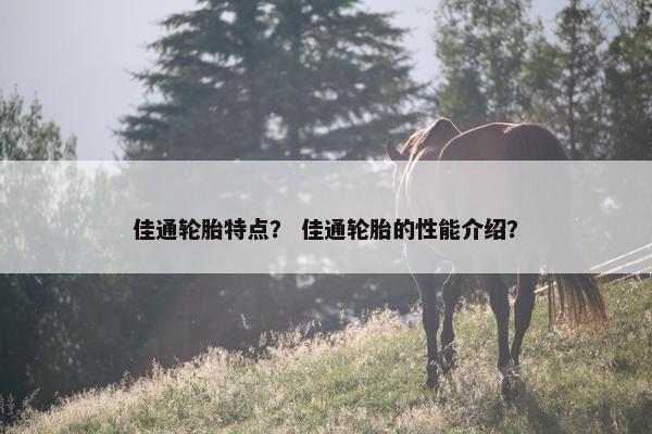 佳通轮胎特点？ 佳通轮胎的性能介绍？