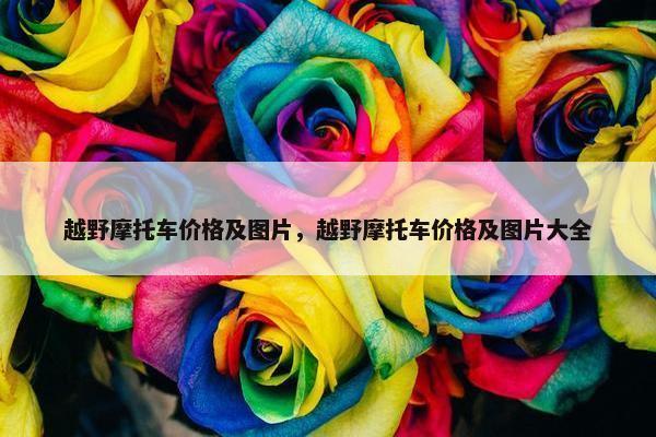 越野摩托车价格及图片，越野摩托车价格及图片大全