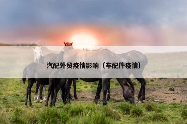 汽配外贸疫情影响（车配件疫情）