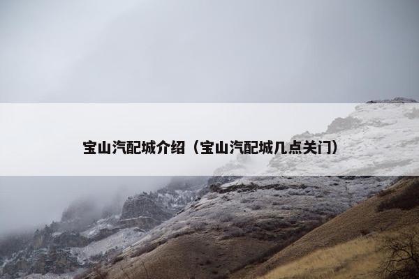 宝山汽配城介绍（宝山汽配城几点关门）