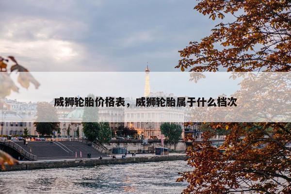 威狮轮胎价格表，威狮轮胎属于什么档次