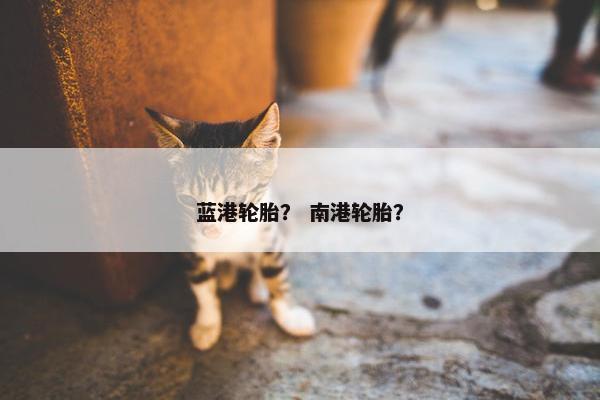 蓝港轮胎？ 南港轮胎？