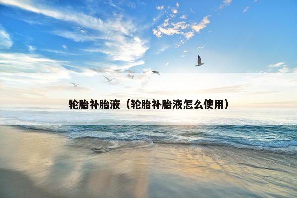 轮胎补胎液（轮胎补胎液怎么使用）