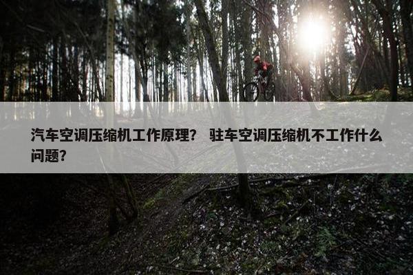 汽车空调压缩机工作原理？ 驻车空调压缩机不工作什么问题？
