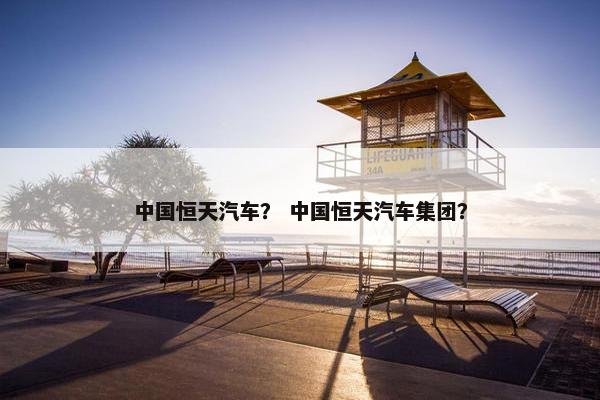 中国恒天汽车？ 中国恒天汽车集团？