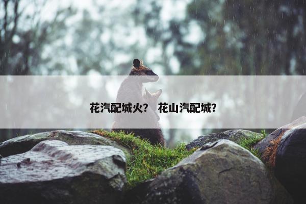 花汽配城火？ 花山汽配城？