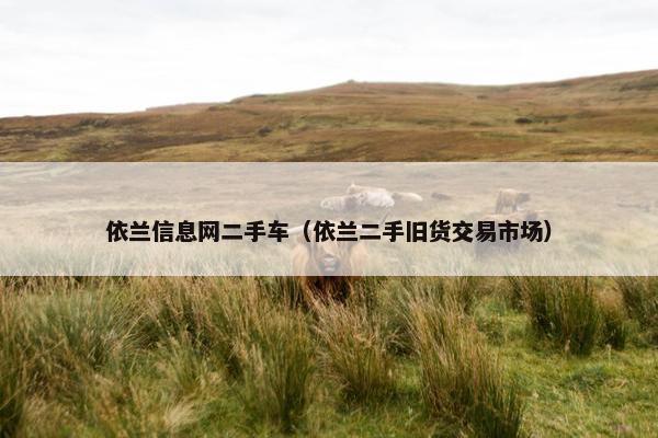 依兰信息网二手车（依兰二手旧货交易市场）