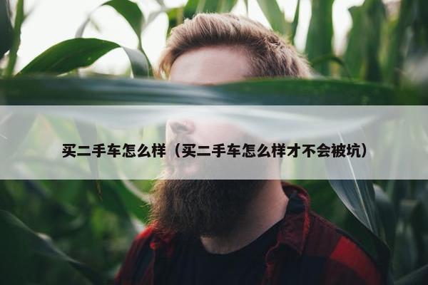 买二手车怎么样（买二手车怎么样才不会被坑）
