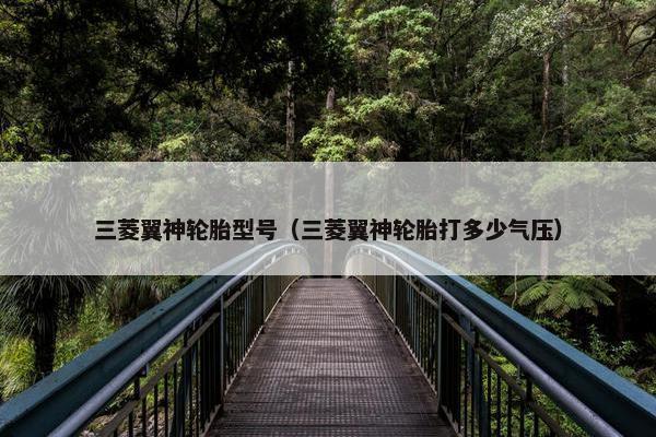 三菱翼神轮胎型号（三菱翼神轮胎打多少气压）