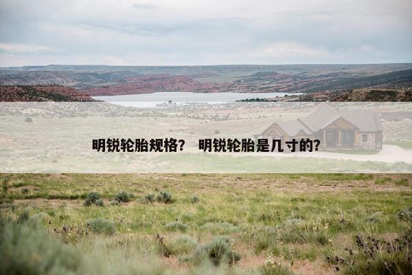 明锐轮胎规格？ 明锐轮胎是几寸的？