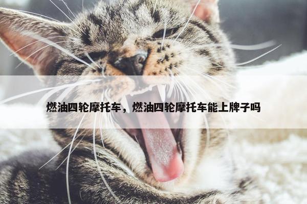 燃油四轮摩托车，燃油四轮摩托车能上牌子吗