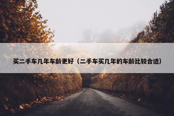 买二手车几年车龄更好（二手车买几年的车龄比较合适）