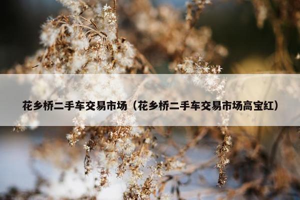 花乡桥二手车交易市场（花乡桥二手车交易市场高宝红）