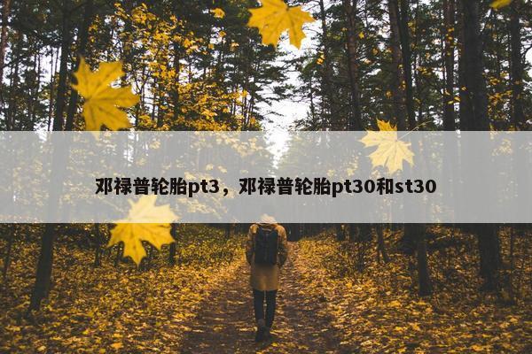 邓禄普轮胎pt3，邓禄普轮胎pt30和st30