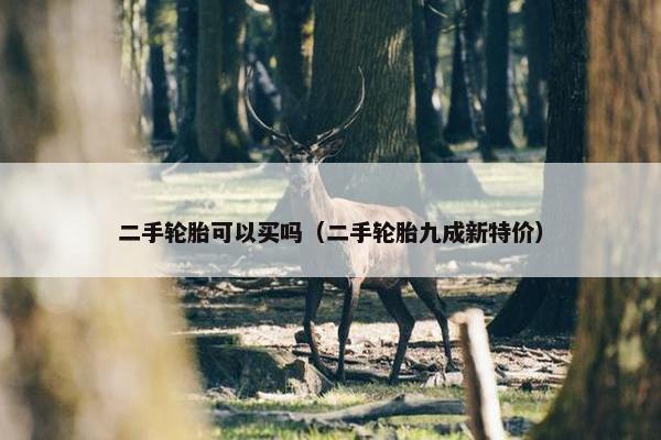 二手轮胎可以买吗（二手轮胎九成新特价）