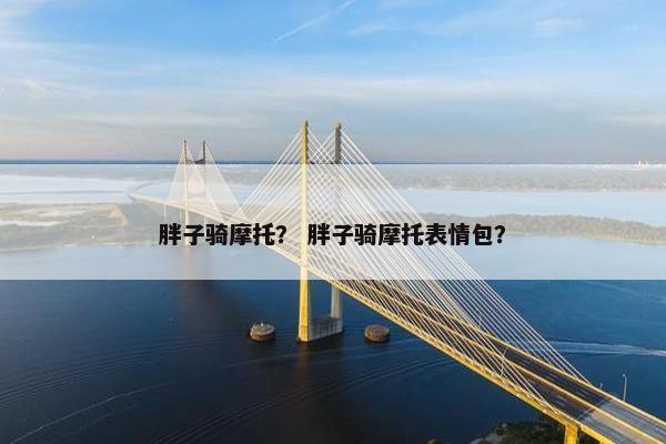 胖子骑摩托？ 胖子骑摩托表情包？
