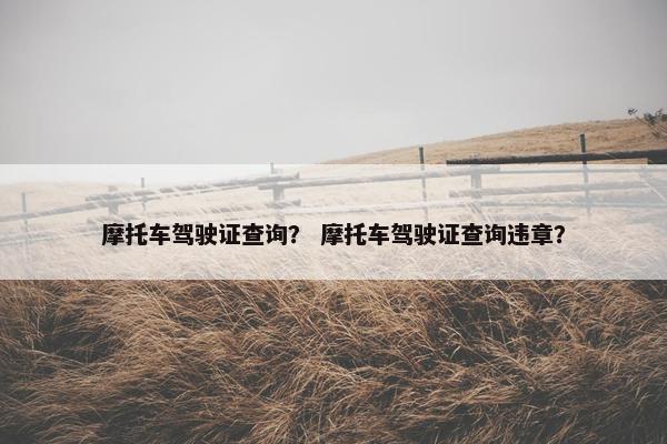 摩托车驾驶证查询？ 摩托车驾驶证查询违章？