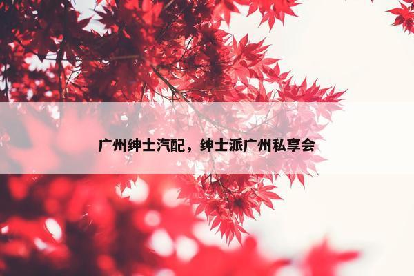 广州绅士汽配，绅士派广州私享会