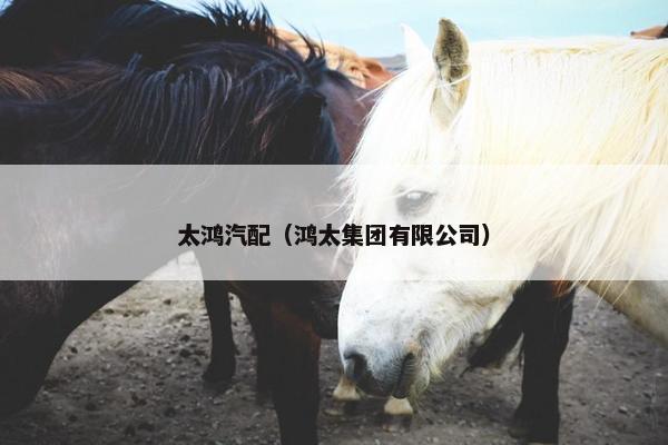 太鸿汽配（鸿太集团有限公司）