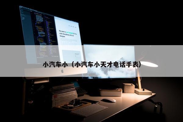 小汽车小（小汽车小天才电话手表）