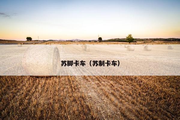 苏脚卡车（苏制卡车）