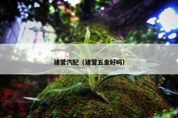 建营汽配（建营五金好吗）