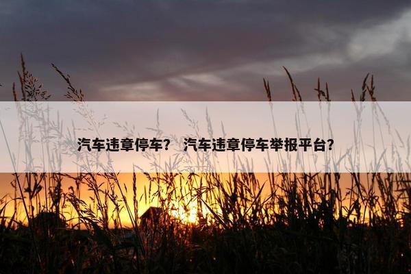 汽车违章停车？ 汽车违章停车举报平台？
