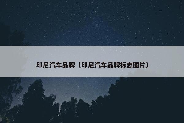 印尼汽车品牌（印尼汽车品牌标志图片）