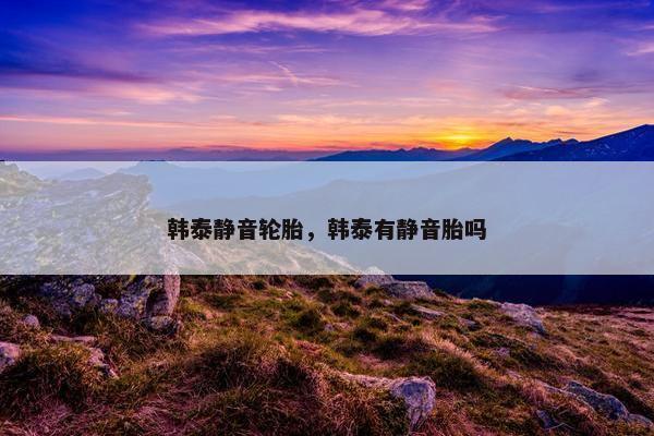 韩泰静音轮胎，韩泰有静音胎吗