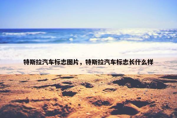 特斯拉汽车标志图片，特斯拉汽车标志长什么样
