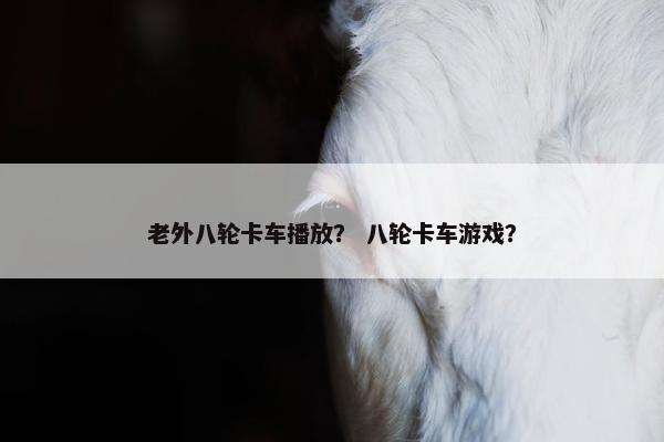 老外八轮卡车播放？ 八轮卡车游戏？