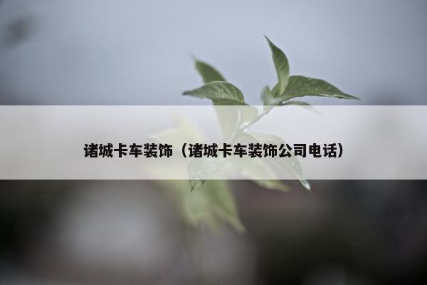诸城卡车装饰（诸城卡车装饰公司电话）