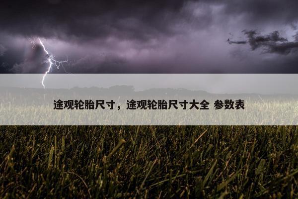 途观轮胎尺寸，途观轮胎尺寸大全 参数表