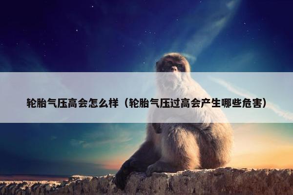 轮胎气压高会怎么样（轮胎气压过高会产生哪些危害）