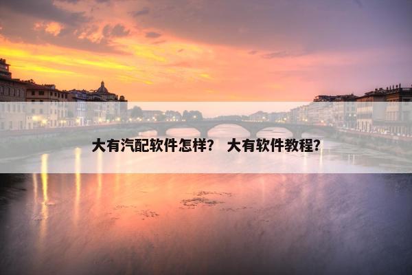 大有汽配软件怎样？ 大有软件教程？