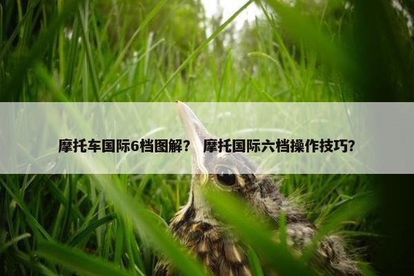 摩托车国际6档图解？ 摩托国际六档操作技巧？