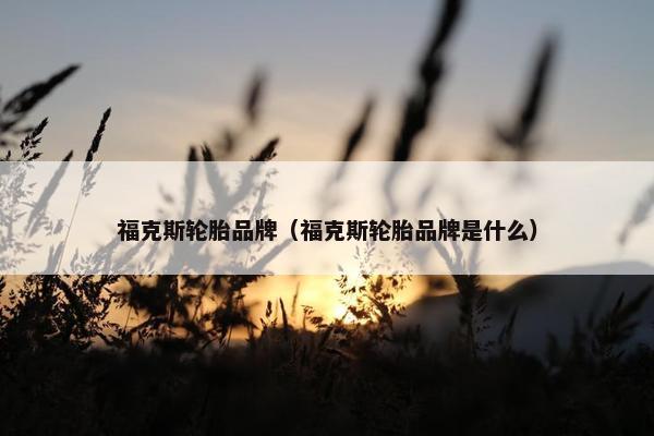 福克斯轮胎品牌（福克斯轮胎品牌是什么）