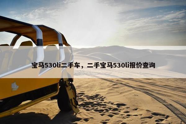 宝马530li二手车，二手宝马530li报价查询