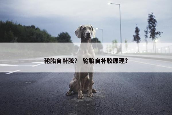 轮胎自补胶？ 轮胎自补胶原理？