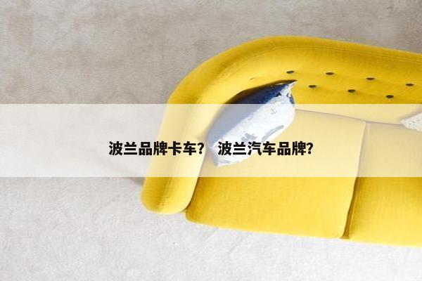 波兰品牌卡车？ 波兰汽车品牌？