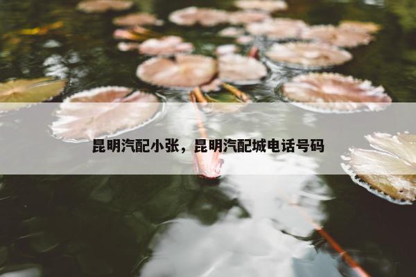 昆明汽配小张，昆明汽配城电话号码