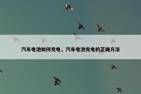 汽车电池如何充电，汽车电池充电的正确方法
